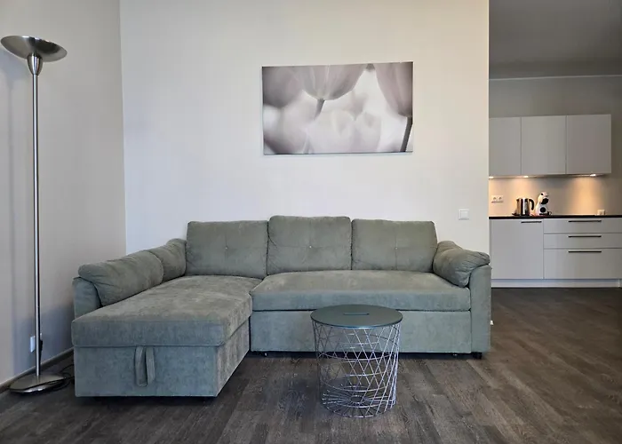 Aisa 39 Stuudiokorter Apartament