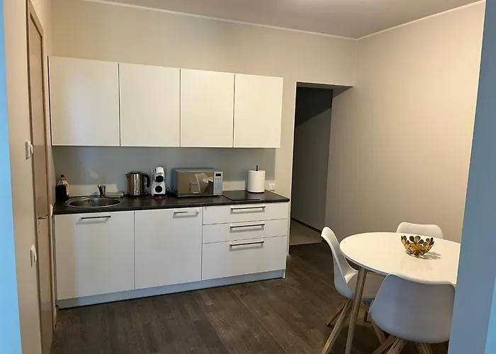 Aisa 39 Stuudiokorter 派尔努